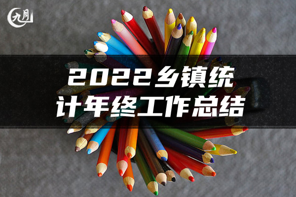 2022乡镇统计年终工作总结