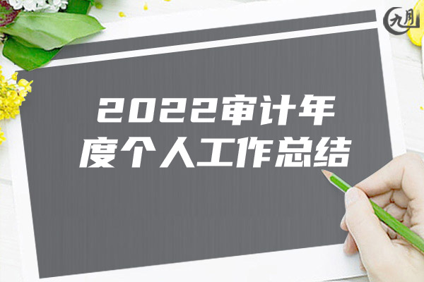 2022审计年度个人工作总结