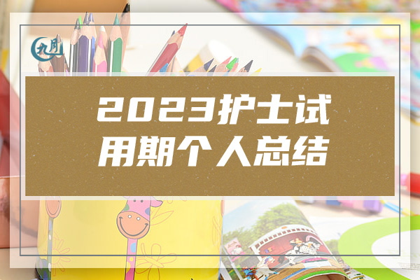 2023护士试用期个人总结