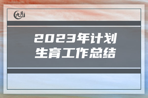 2023年计划生育工作总结