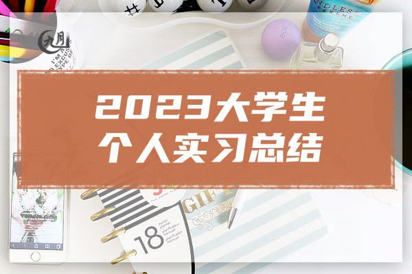 2023大学生个人实习总结