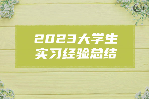 2023大学生实习经验总结