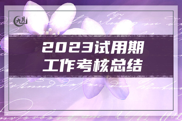 2023试用期工作考核总结