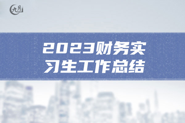 2023财务实习生工作总结