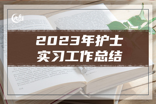 2023年护士实习工作总结