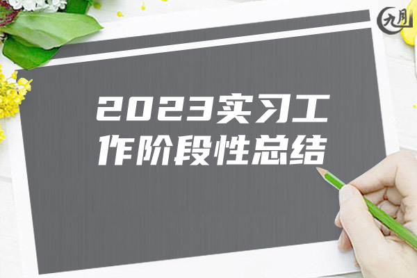 2023实习工作阶段性总结