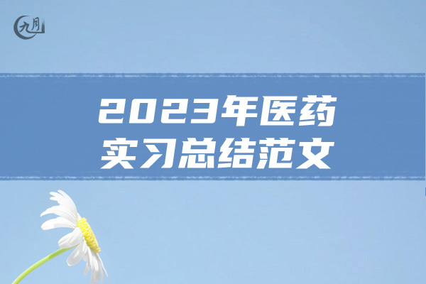 2023年医药实习总结范文