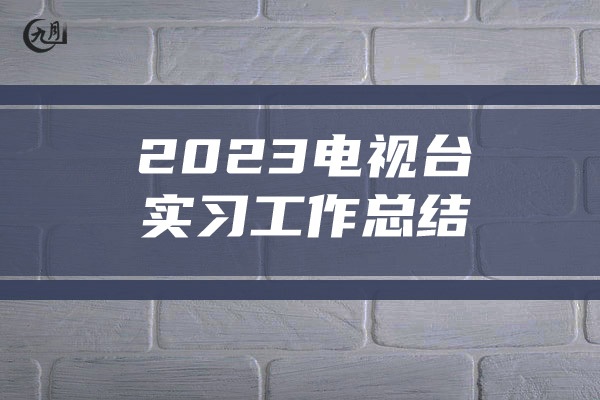 2023电视台实习工作总结