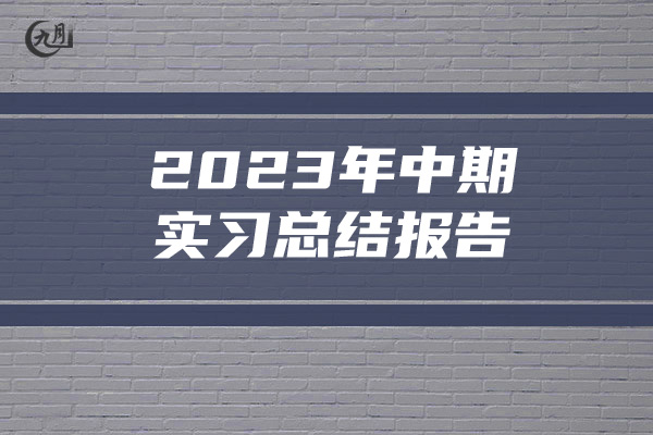 2023年中期实习总结报告