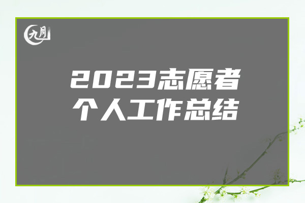 2023志愿者个人工作总结