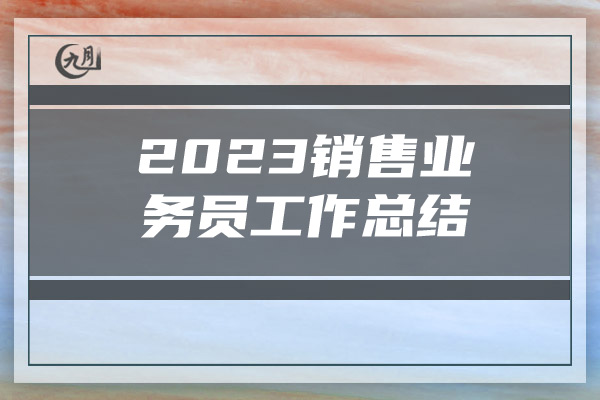 2023销售业务员工作总结