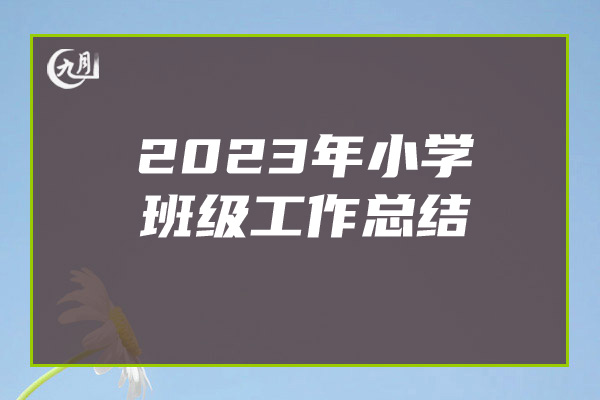 2023年小学班级工作总结