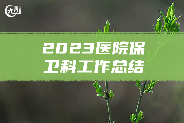 2023医院保卫科工作总结