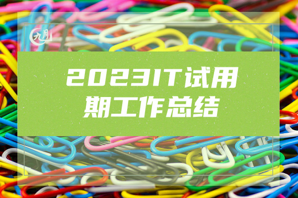 2023IT试用期工作总结