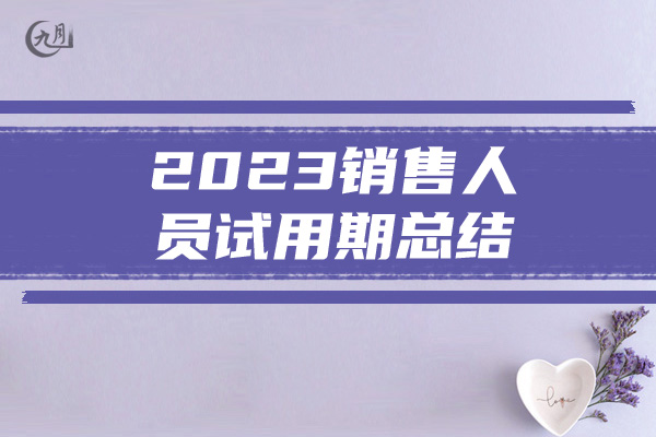 2023销售人员试用期总结