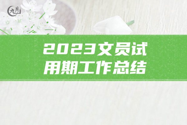 2023文员试用期工作总结