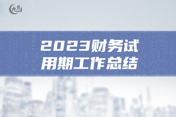 2023财务试用期工作总结