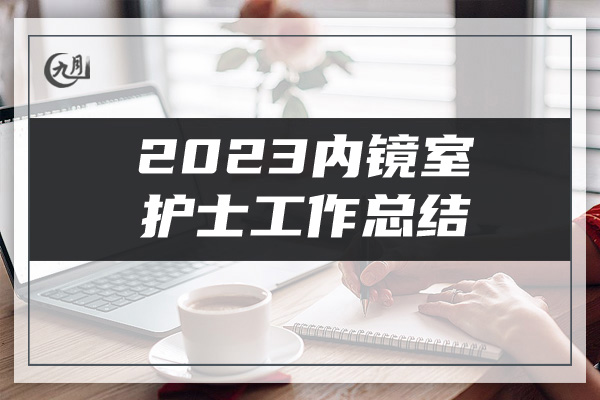 2023内镜室护士工作总结