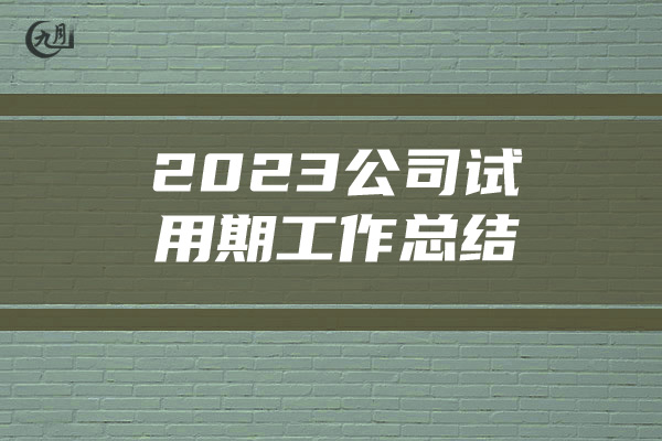 2023公司试用期工作总结