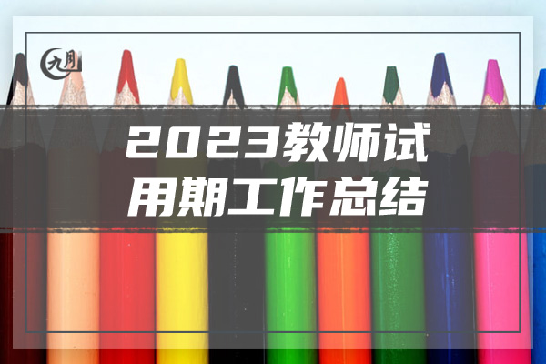 2023教师试用期工作总结