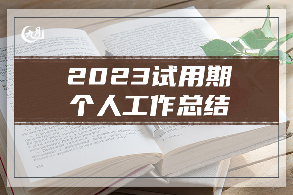 2023试用期个人工作总结