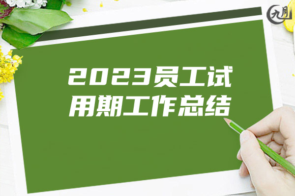 2023员工试用期工作总结