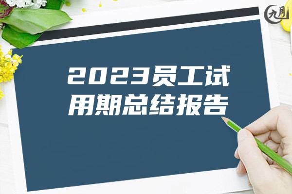 2023员工试用期总结报告