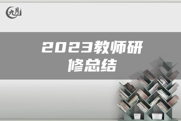 2023教师研修总结