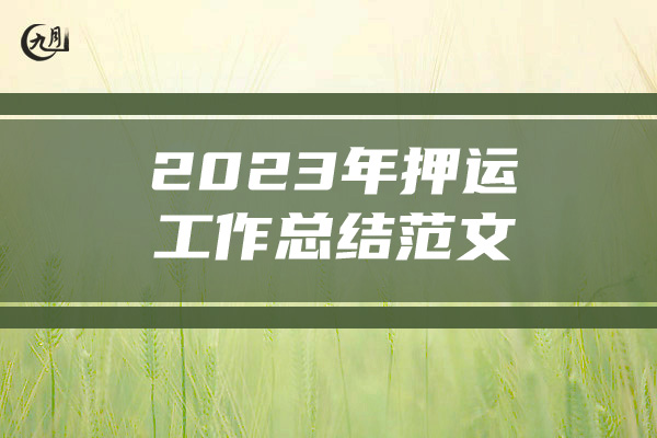 2023年押运工作总结范文