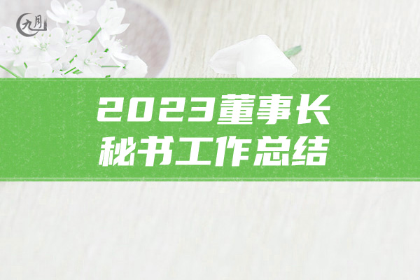 2023董事长秘书工作总结