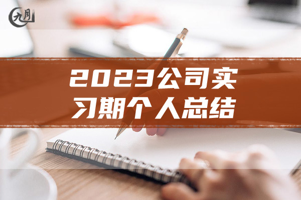 2023公司实习期个人总结