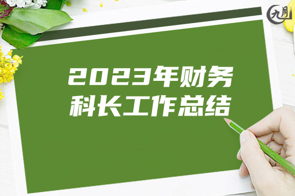 2023年财务科长工作总结