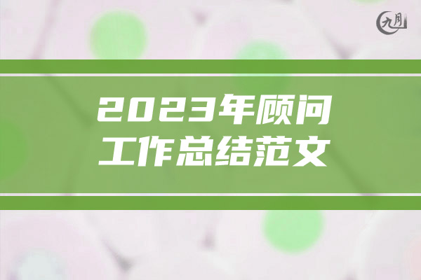 2023年顾问工作总结范文