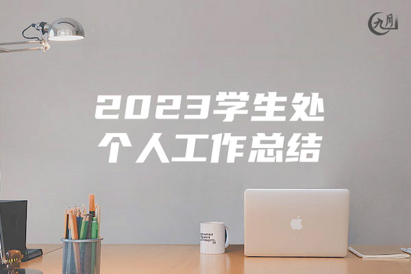 2023学生处个人工作总结