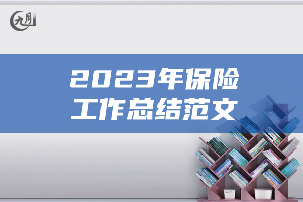 2023年保险工作总结范文