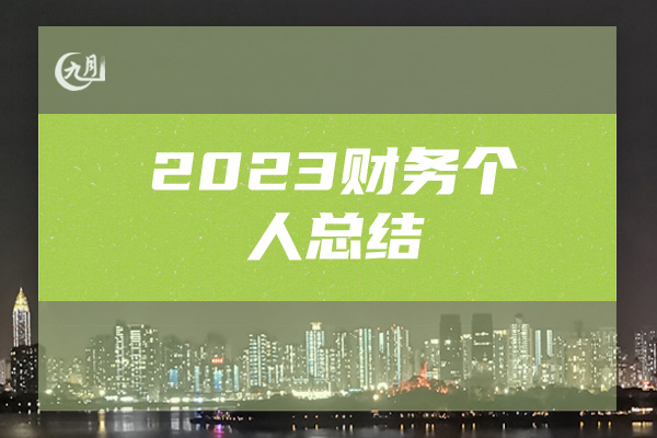 2023财务个人总结