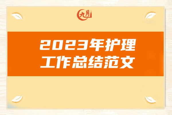 2023年护理工作总结范文