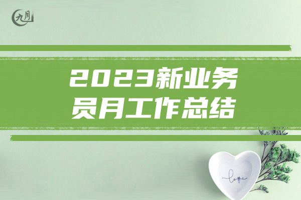 2023新业务员月工作总结