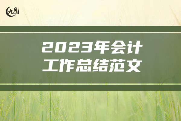 2023年会计工作总结范文