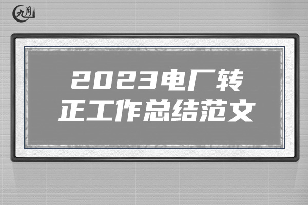 2023电厂转正工作总结范文