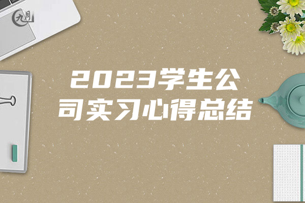 2023学生公司实习心得总结