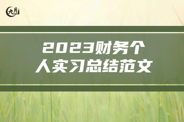 2023财务个人实习总结范文