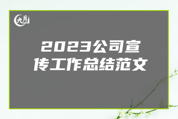 2023公司宣传工作总结范文