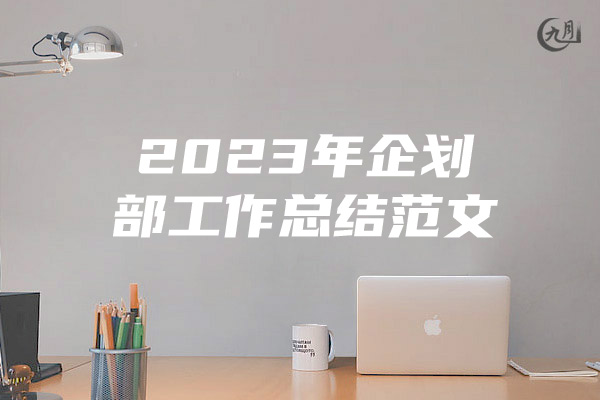 2023年企划部工作总结范文