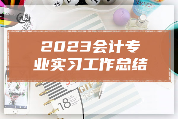 2023会计专业实习工作总结