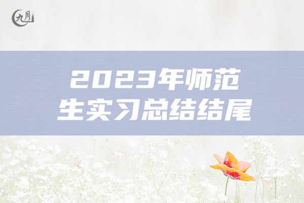 2023年师范生实习总结结尾