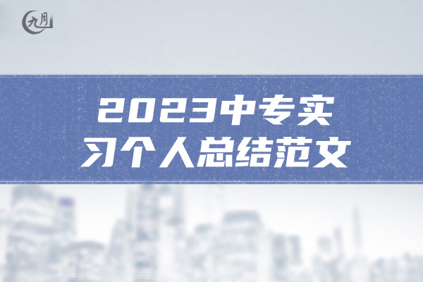 2023中专实习个人总结范文