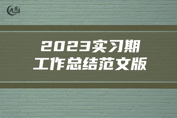 2023实习期工作总结范文版