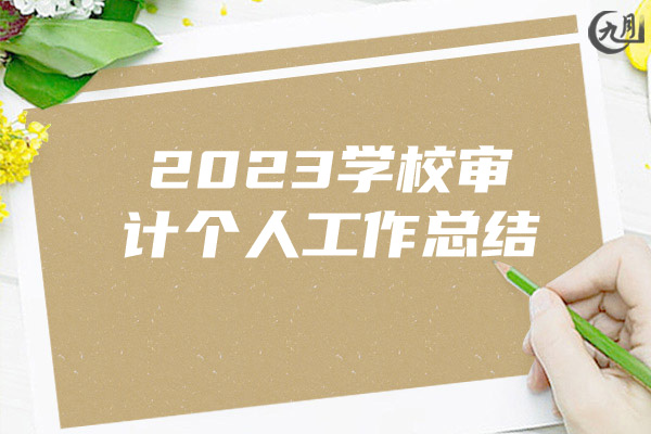 2023学校审计个人工作总结