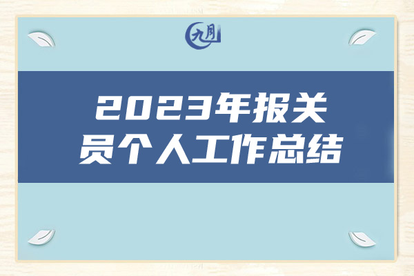 2023年报关员个人工作总结